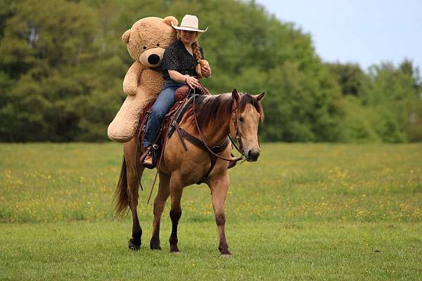 beginner-quarter-horse