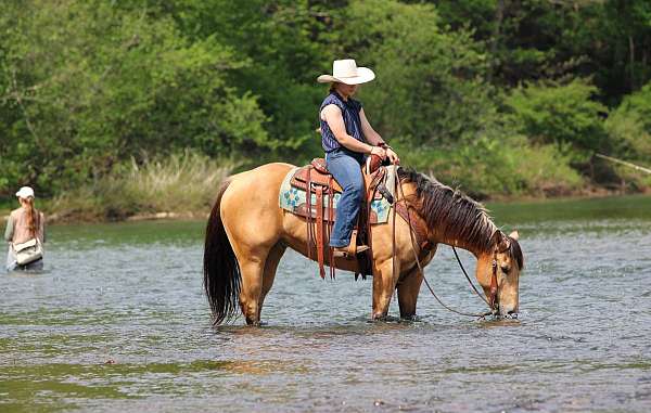 flashy-quarter-horse