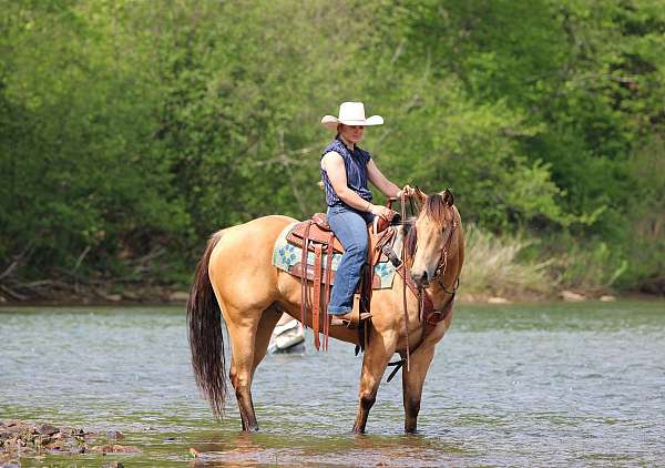 ranch-quarter-horse