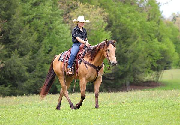 ranch-versatility-quarter-horse