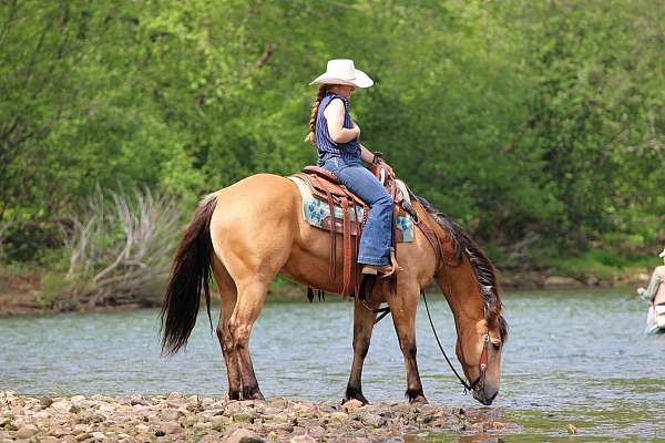 ranch-work-quarter-horse