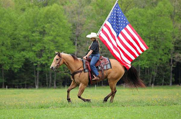 roping-quarter-horse