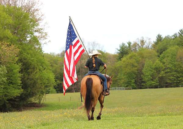 trail-riding-quarter-horse