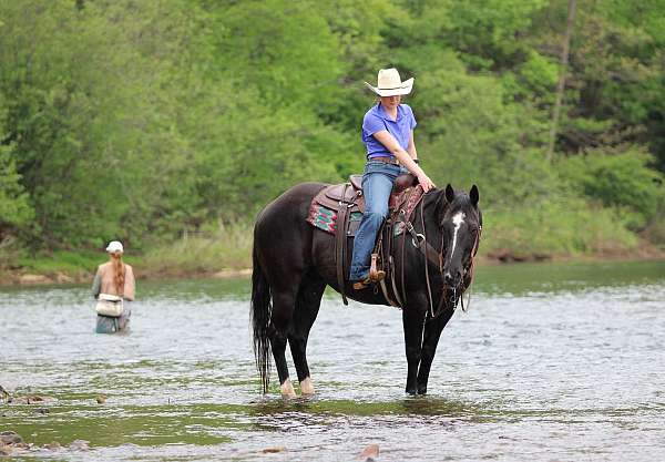 kid-safe-quarter-horse