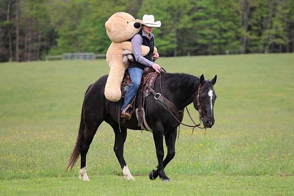 ranch-quarter-horse
