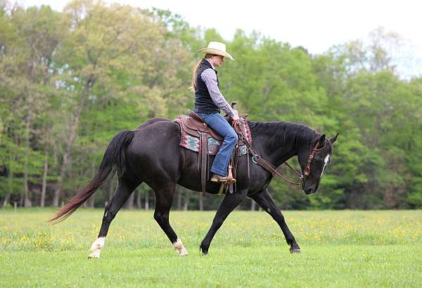 roping-quarter-horse