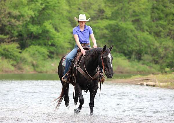 trail-riding-quarter-horse