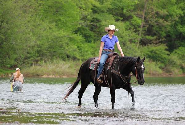 western-riding-quarter-horse