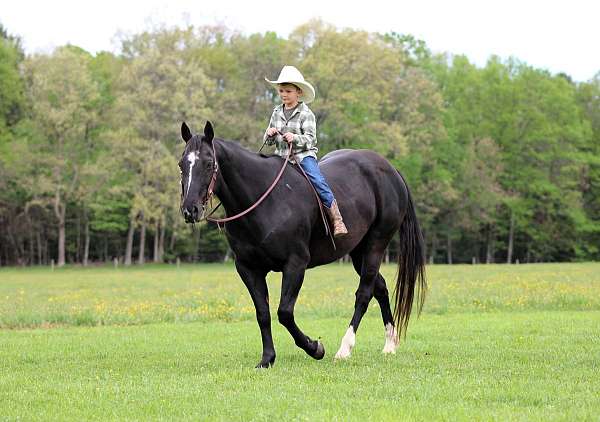 youth-quarter-horse