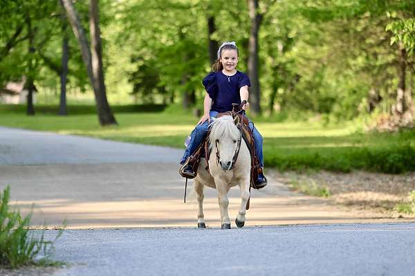 athletic-pony