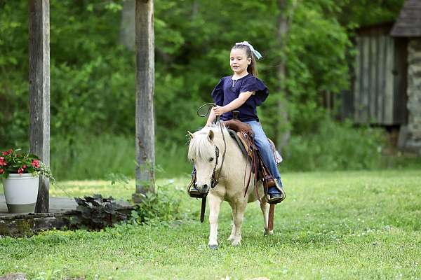 barrel-pony