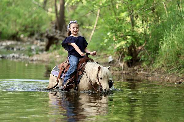 beginner-pony