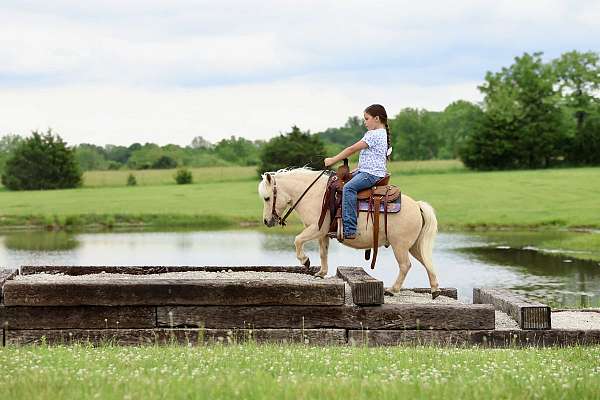 driving-pony