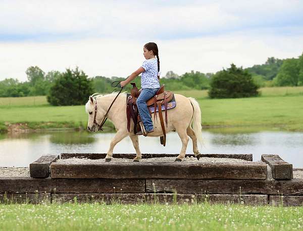 kid-safe-pony