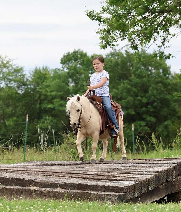 playday-pony