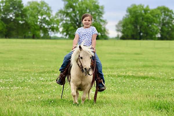 trail-pony