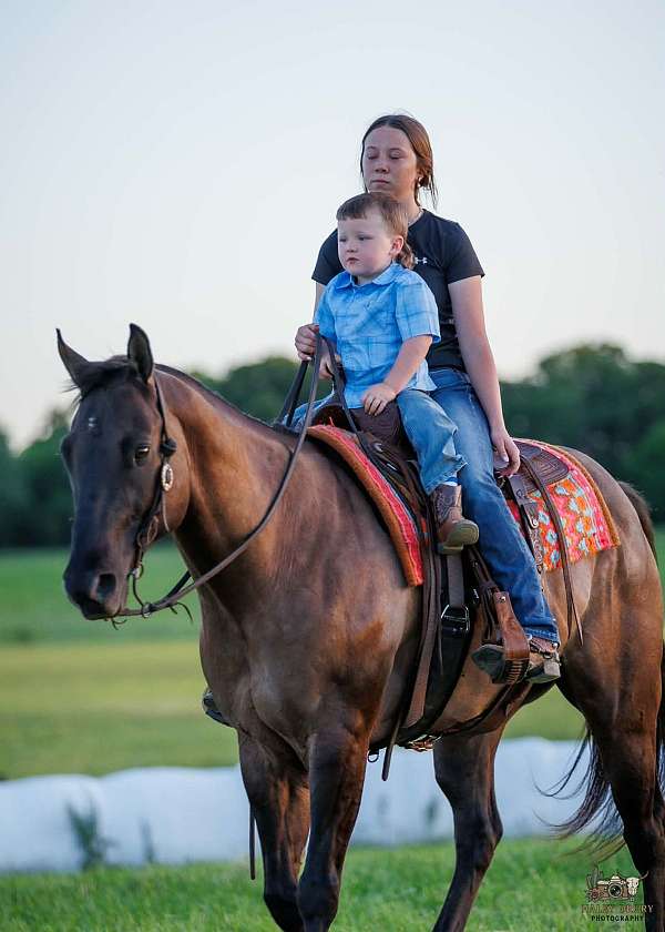 western-riding-quarter-horse
