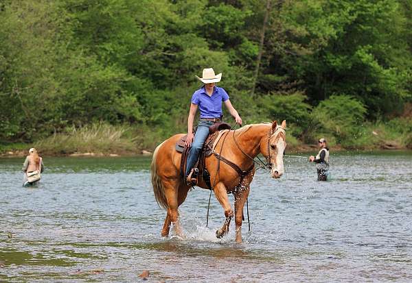 ranch-quarter-horse