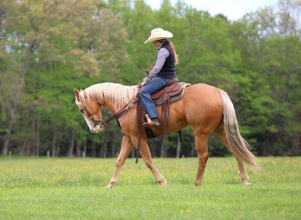 ranch-versatility-quarter-horse
