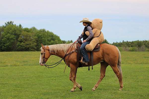 ranch-work-quarter-horse