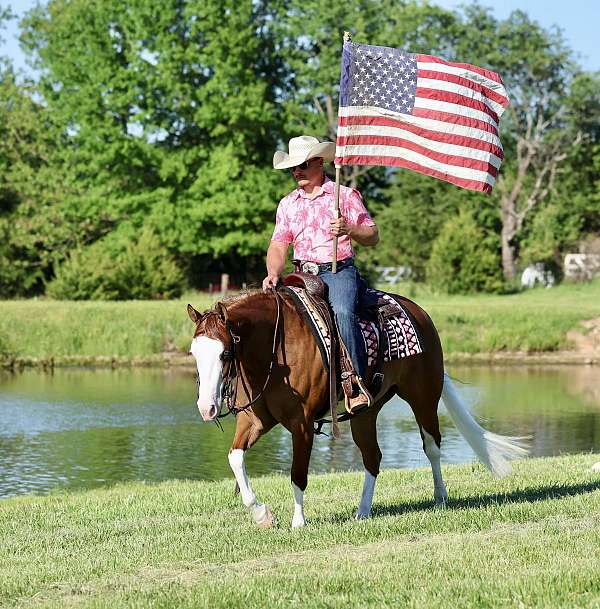 ranch-quarter-horse
