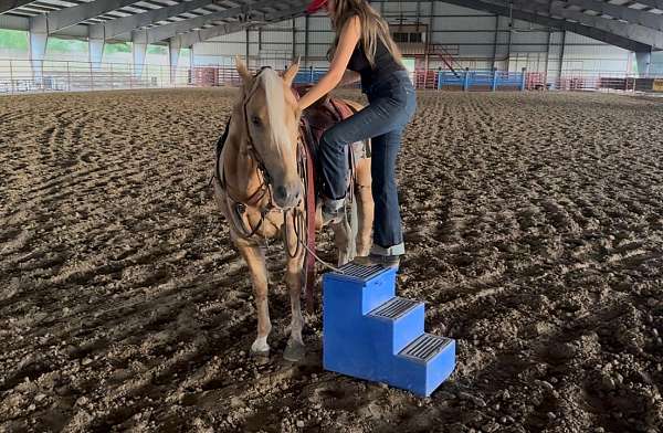 flashy-quarter-horse