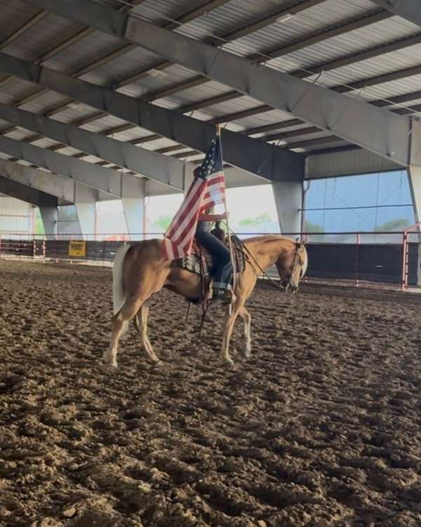 ranch-versatility-quarter-horse