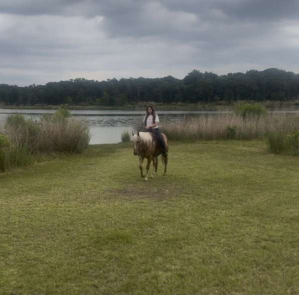 trail-riding-quarter-horse