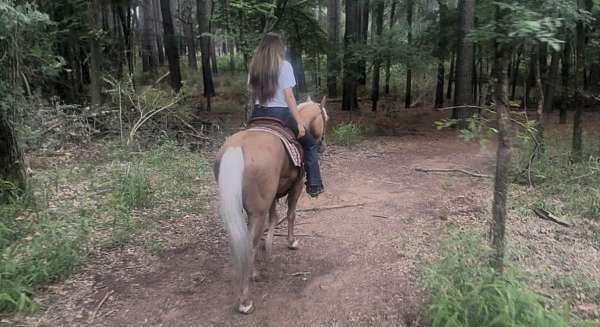 working-cattle-quarter-horse