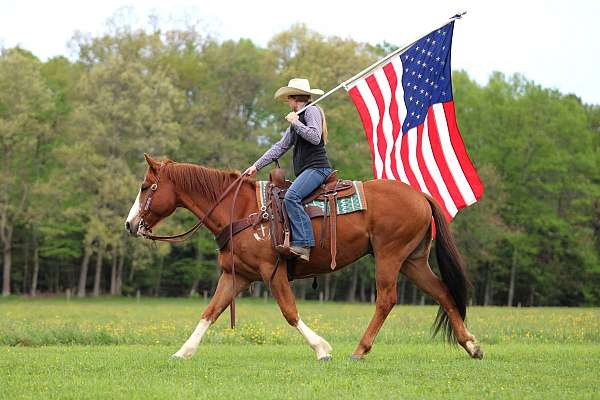 ranch-quarter-horse
