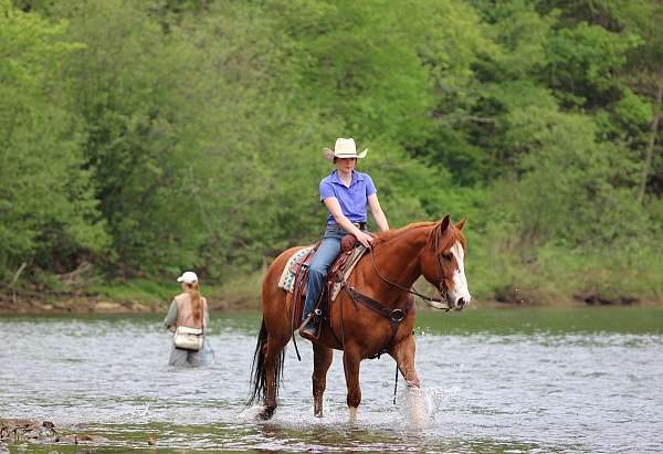 ranch-work-quarter-horse