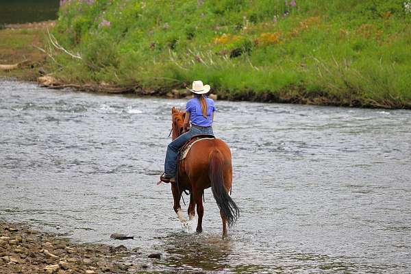 youth-quarter-horse