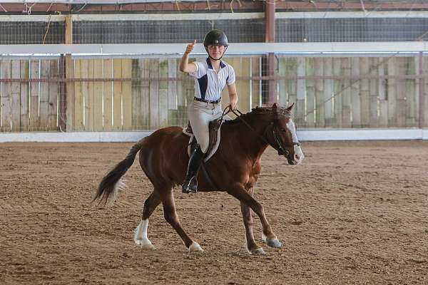 jumping-pony