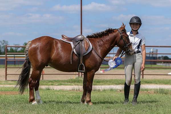 trail-riding-pony