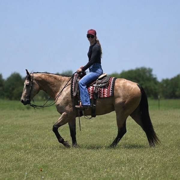 calf-roping-quarter-horse