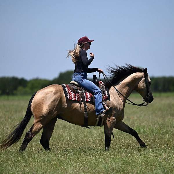 flashy-quarter-horse