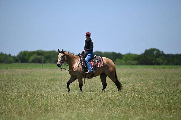 ranch-quarter-horse