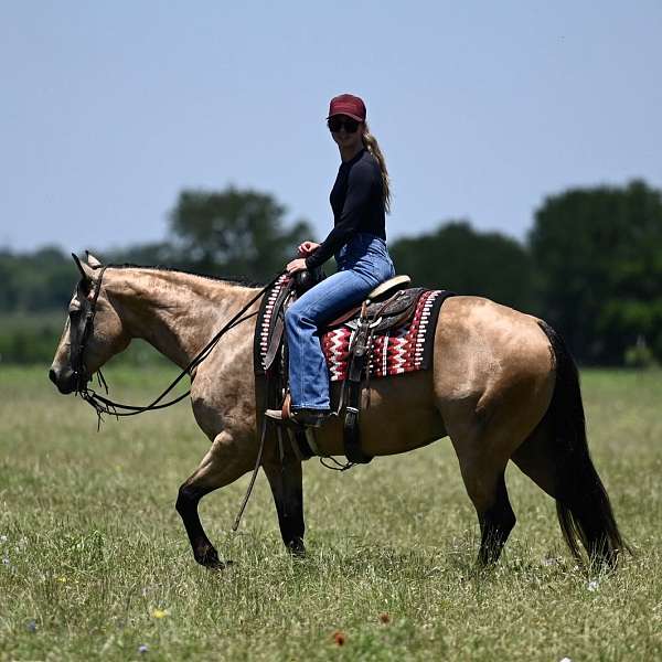 ranch-versatility-quarter-horse