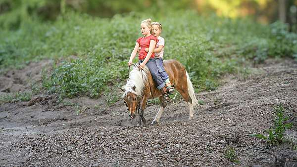 kid-safe-pony