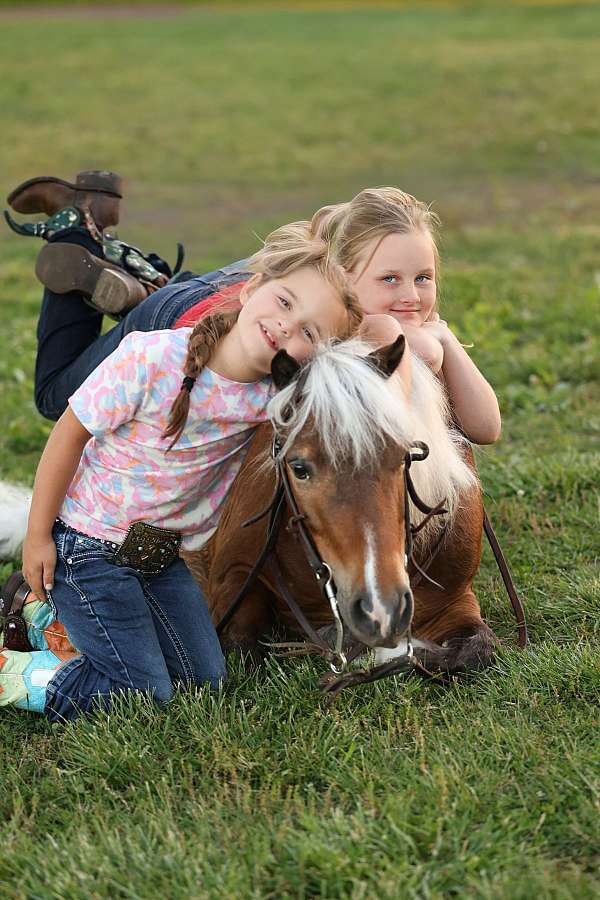 trail-pony