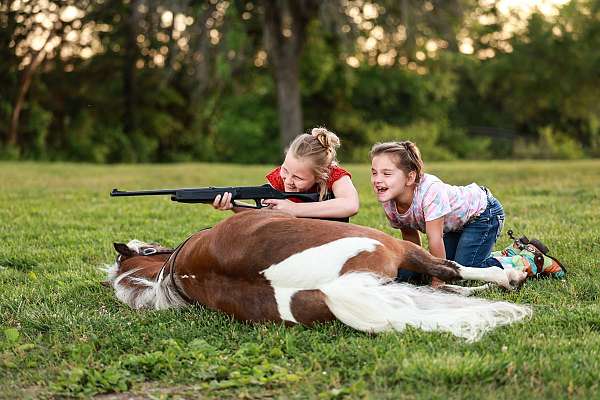 trail-riding-pony