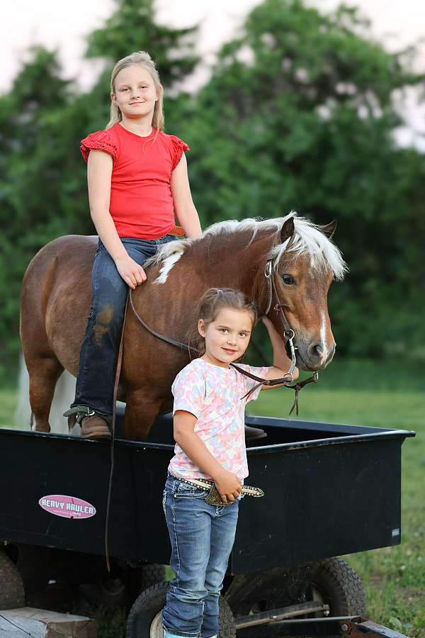 youth-pony