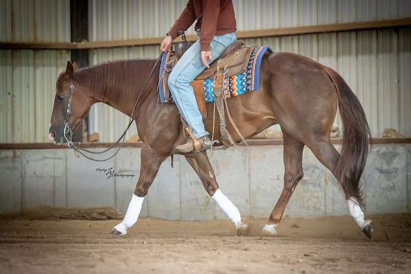 flashy-quarter-horse