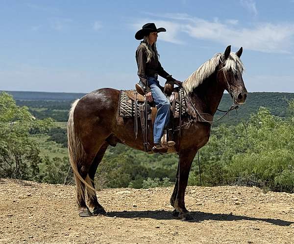 cross-draft-horse