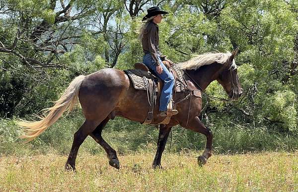 jumping-draft-horse