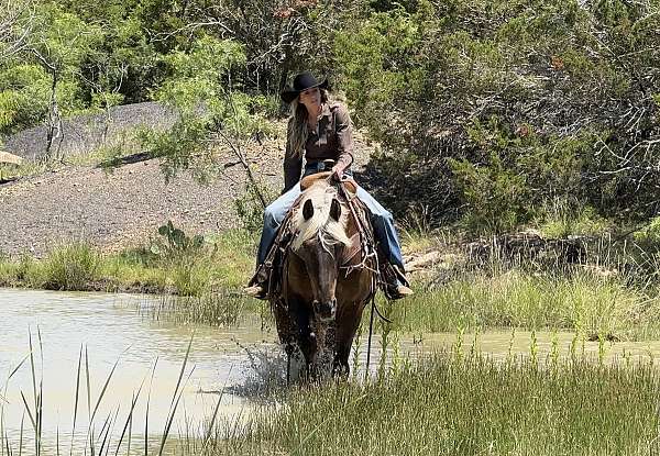 ranch-versatility-draft-horse