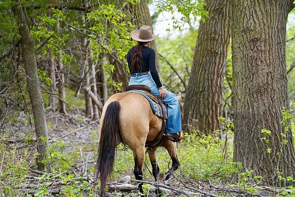 flashy-quarter-horse