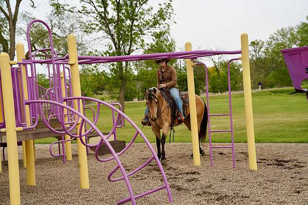 roping-quarter-horse