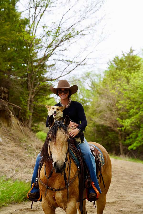 trail-riding-quarter-horse