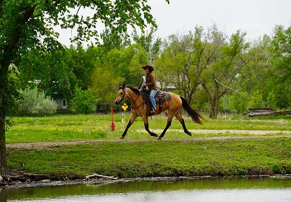 youth-quarter-horse